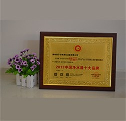 2013年扬子净水获得品牌称号