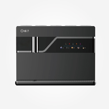 扬子牌 YZ-RO-100G(K6)